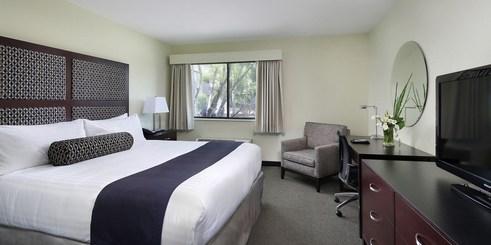 TheMapleTreeInn's tweet image. A King Deluxe room at @TheMapleTreeInn in Sunnyvale. Book your room: mapletreeinn.info/?checkin&amp;amp;night… #rooms #siliconvalley