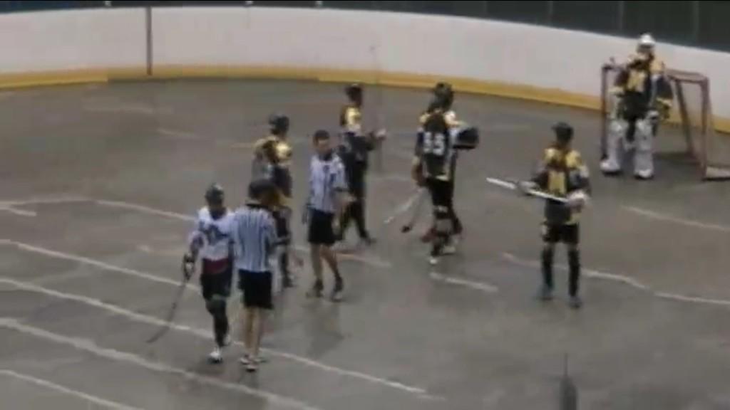 Ball Hockey Edmonton (BHEOfficial) Twitter