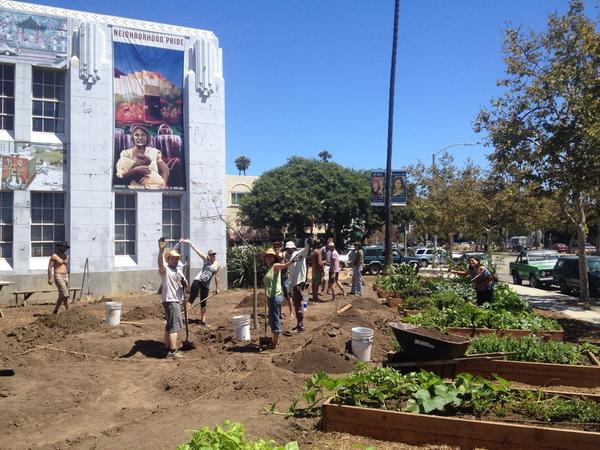 MakepeaceBand's tweet photo. Back to the garden. Planting fruit trees today!! #kissthegroundgarden @kissthegroundCA http://t.co/fcuPfLdwO8