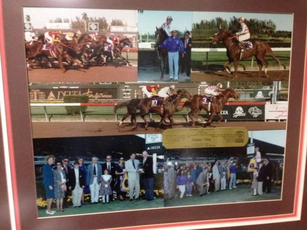Needles56's tweet photo. When you see a photo of the great #GildedTime you go ahead and take it. #FLA #FlaBred http://t.co/Bs8dyeq1Gk