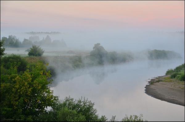 И всё теряется в тумане... #фолловинг