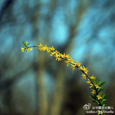 iXueBa's tweet photo. 人总是在遭遇一次重创之后，才会幡然醒悟，重新认识自己的坚强和隐忍。所以，无论你正在遭遇什么磨难，都不要一味抱怨上苍不公平，甚至从此一蹶不振。人生没有过不去的坎，只有过不去的人。... http://t.co/IBP4MJuIkw http://t.co/GcgpfFG0V4