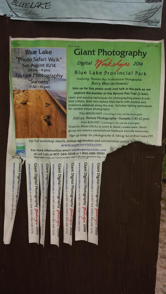 BeDubzz's tweet photo. Great #giantdigitalwksp 2day @ #BlueLakePP now dinner @ #BustersBBQ in Vermilion Bay & sunset workshop 2nite http://t.co/p7qw3ztwqy