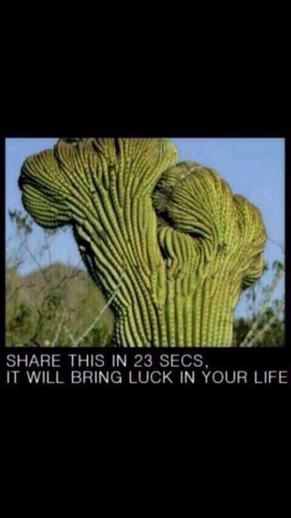 WorIdStarComedy's tweet image. Why does this work