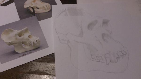 AK_sideburns's tweet photo. Day 5 #draw21days #refinement chose #skull as my subject. second of many to follow http://t.co/iPbTOctFV9