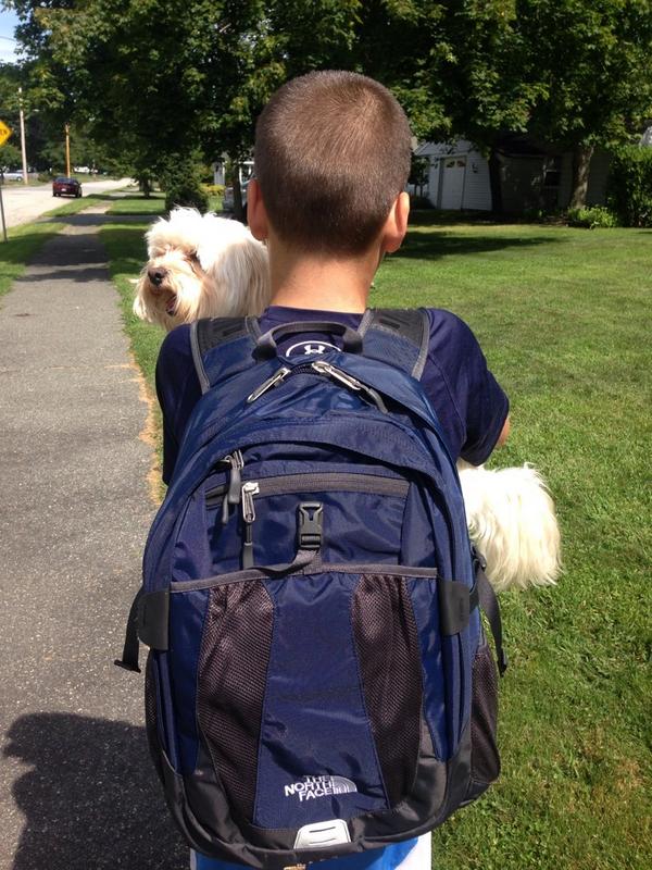 MissNancy01923's tweet image. #PacksInAction #TNFContest #thedogstayshere