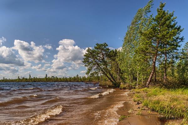 #ВзаимноЧитаю В ветреную погоду