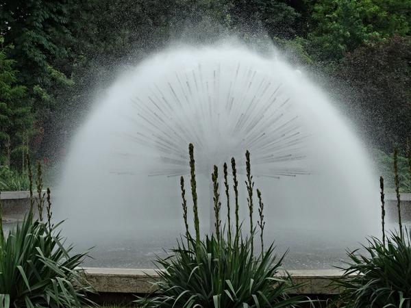 #ff_ru Бухарест - Bucharest - Bucure?ti. Fantana Academiei
