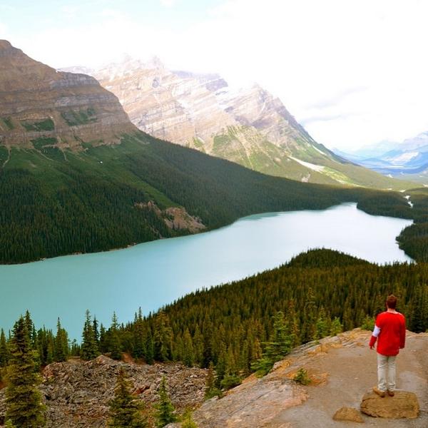 Flight Centre tweet media