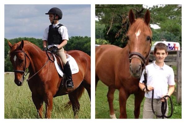 Team Whs forever team mates 🐴