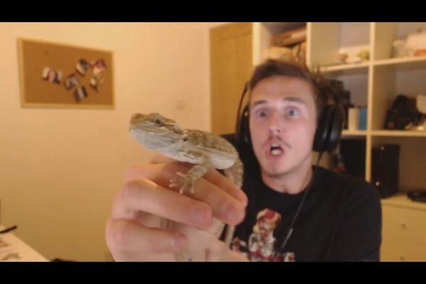 RandomheroJDC tweet picture