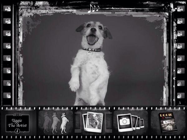 Uggie The Artist (@Uggie_TheArtist) / Twitter