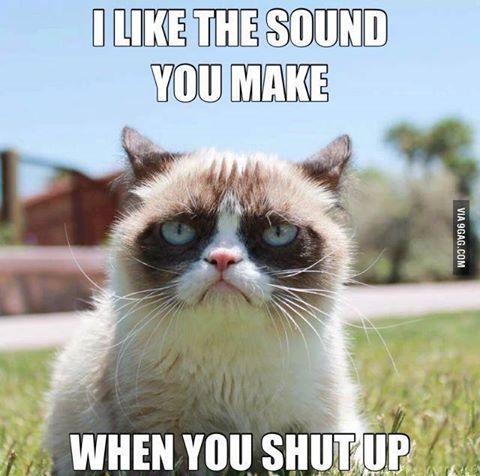 JTLabonte3's tweet photo. @holter_ben #catwar http://t.co/sMNuxrp0K2