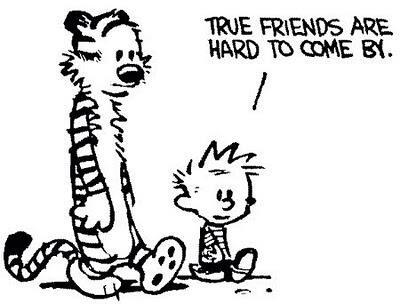 "True friends are hard to come by"