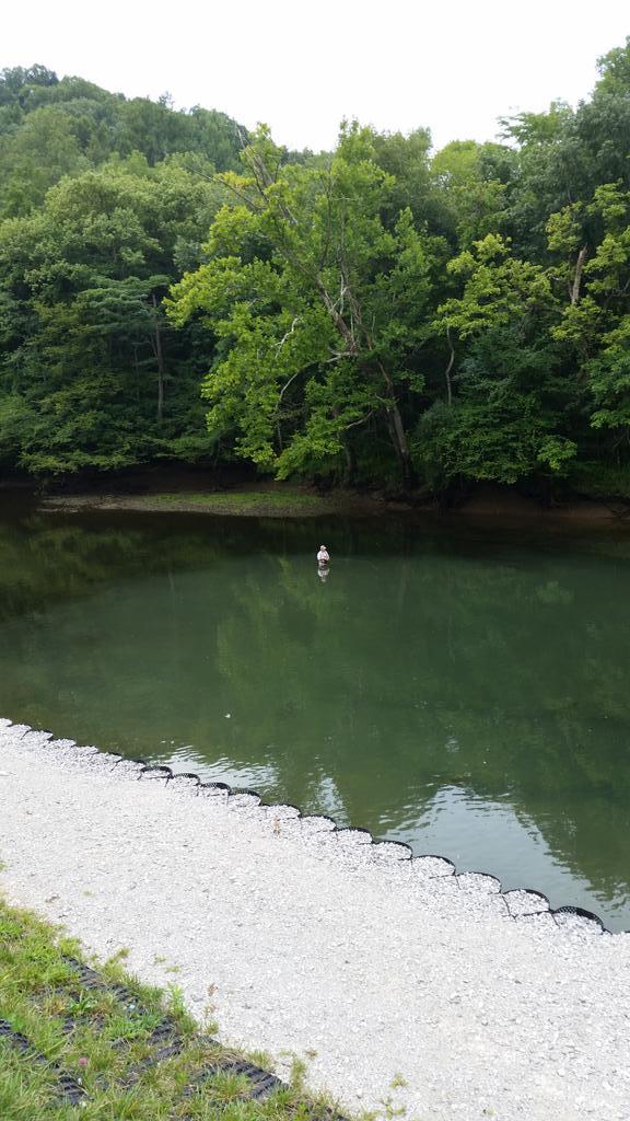 nickjeffs's tweet photo. @PHWFF had a great time at the Dale Hollow Dam. Huge thanks to all the volunteers that made today's trip possible. http://t.co/jehEdjtAip