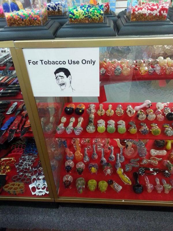 GeniusPothead's tweet photo. Most told lie😂 http://t.co/k7zNBvVMA6