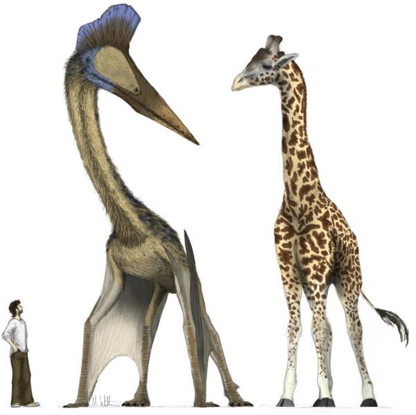 Image result for Quetzalcoatlus