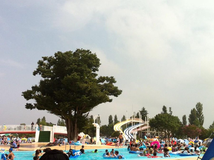 しらこばと水上公園プール22チケット料金と購入方法 アクセス 駐車場 混雑予想も Sunrise