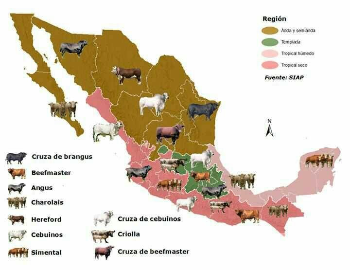 Espacio Ganadero on Twitter "Distribucion de la 