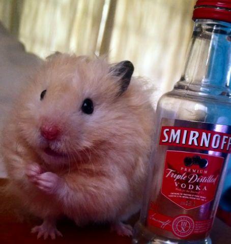 NibsSoFly's tweet photo. When bae enter the club after tellin her you were sick #TurntUpFail http://t.co/gXcbhtvjUO