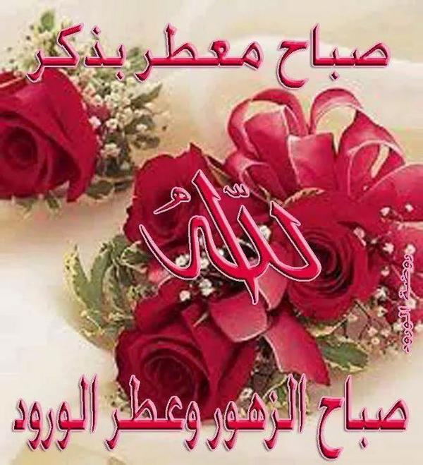 سوزانا المصرية on Twitter "صباح الفل والياسمين على