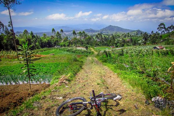 eight bolt tweet media