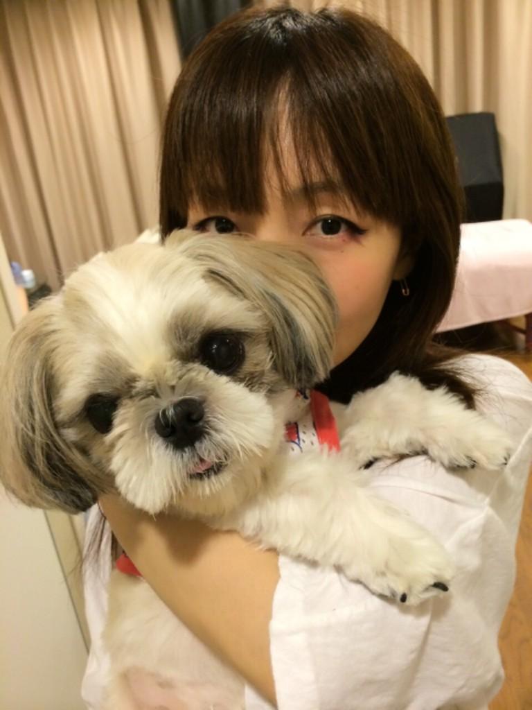 O Xrhsths Aiko Official Sto Twitter そして 久しぶりにあんころもちにも逢えた ふくふく健在やった 私を舐める時に必死になり過ぎて右前足が背伸びしてる 私のヤル気スイッチはココかもしれん Http T Co Nyy7mnjnsa