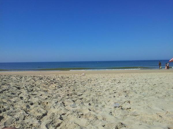 Borja_FdezConde's tweet photo. Ya nos tocaba... #playa #verano14 #domingueros @MariaGBello http://t.co/Vyzuvydz6q