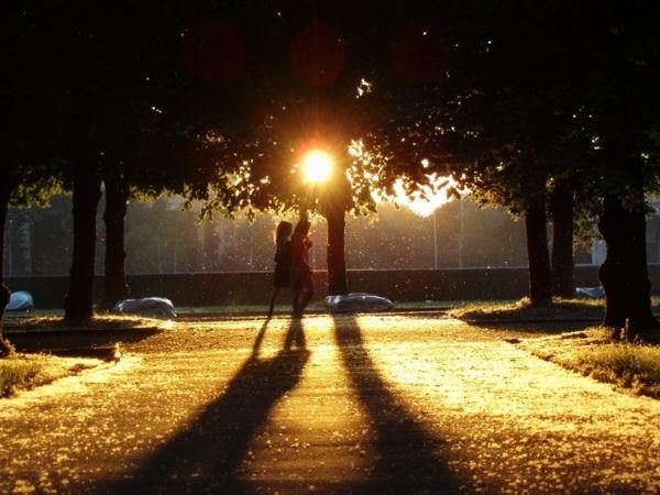 Прогулка на рассвете. Ночной парк. Прогулка лето вечер. Вечерняя прогулка. Лето вечер.