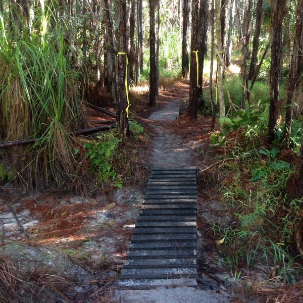 runningrails's tweet photo. @RunPexRun running with your son must have been awesome! But next time, the longer course was much prettier. http://t.co/U7hmHeYirt