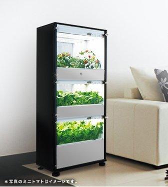 いいなRT @RakutenJP: 【育ててみたいと思ったらリツイート！】土を使わず小まめな水やりも不要な水耕栽培キット「グリーンファーム」に3種類の野菜を同時に育てられるタワー型が登場！ http://t<a class="tags" target="_blank" title="On Twitter" href="/?out=eyJ0eXAiOiJKV1QiLCJhbGciOiJIUzUxMiJ9.eyJpYXQiOjE3MjY5MTU2NDcsImlzcyI6InR3cG9ybnN0YXJzLmNvbSIsIm5iZiI6MTcyNjkxNTY0NywiZXhwIjoxNzU4NDUxNjQ3LCJyZWRpcmVjdF91cmwiOiJodHRwczovL3R3aXR0ZXIuY29tL1Jha3V0ZW5KUCJ9.KwwYruQtF8z2NmhxMrLZ66mntDVeZpSX1gXS9dOO1xkywBEOJZAvWi1784pPu1C1DOswMrx88m4npGc3ogiO9w">@RakutenJP</a>