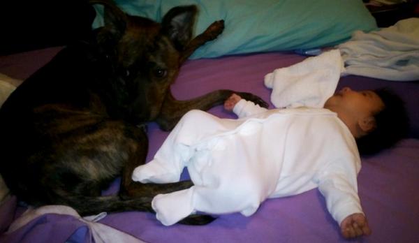 cosifem's tweet photo. Mis xiqitas http://t.co/eUEu1fDFj5