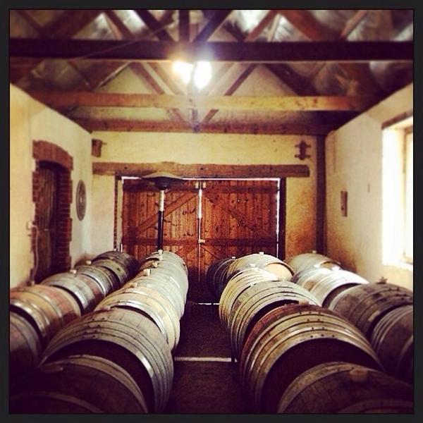 “<a href="/mclaren_vale/">McLaren Vale</a>: A peak inside <a href="/samuelsgorge1/">Samuel's Gorge</a> #mclarenvale #barrelroom @beesaade's Instagram photo ”