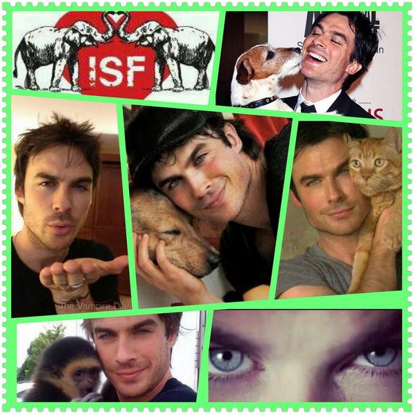 Let's make our world a better place 💛 Please check out  <a href="/iansomerhalder/">Ian Somerhalder</a> &amp; <a href="/IS_Foundation/">God Is Abel Foundation</a> isfoundation.com/de/welcome