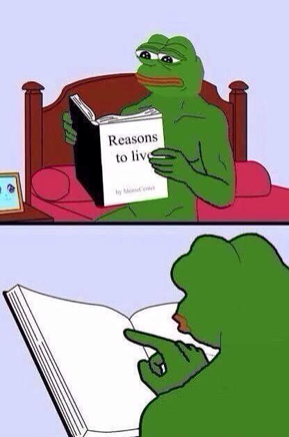 Washington Hornets (@superhornets) on Twitter photo 