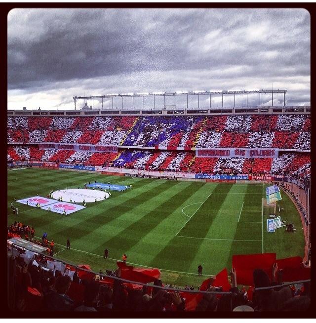 plmpeli's tweet photo. @MarioSuarez4 #GanasDeCalderon ya va quedando menos!! http://t.co/nth9K6f7kd