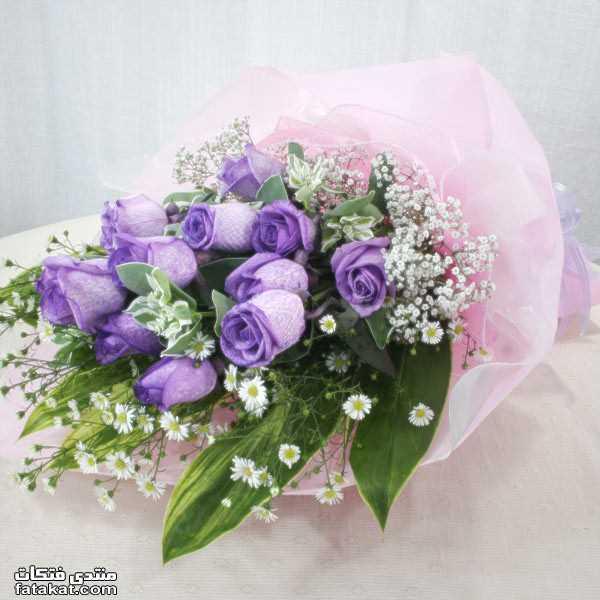 sLavexox's tweet photo. @talaaltalal119 مسا الورد عمتي http://t.co/4Ug5LXIe8I
