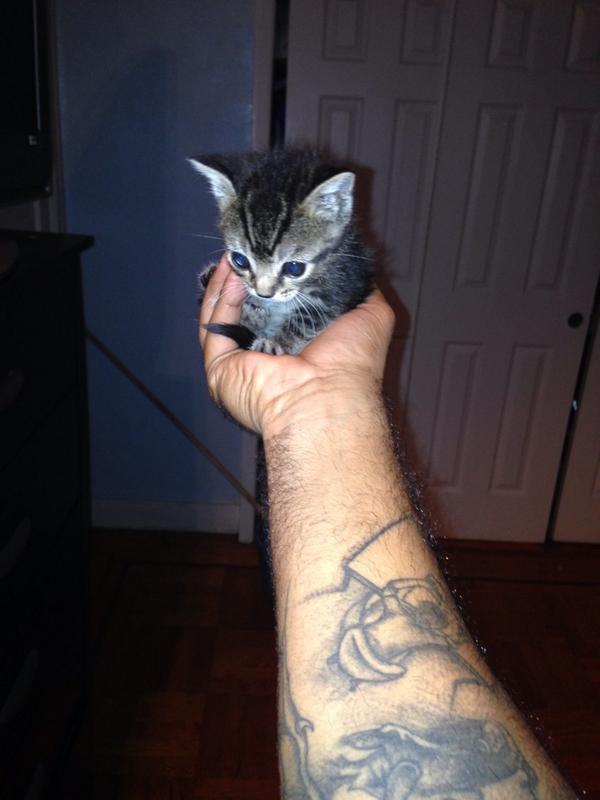 metra89's tweet photo. El Nuevo jefe. De lo mio http://t.co/sZ20vtAEK0