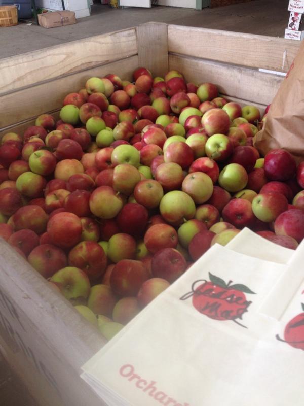 xxlyxxdx's tweet photo. YES 😍🍎🍏 #jerseymac #helloapples #farmgirl http://t.co/qQNqHCYnbS