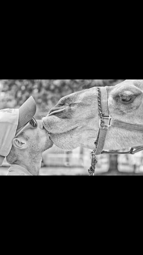 lizaoshoning's tweet photo. @rickygervais - I Love You http://t.co/tHzT9zkc8f