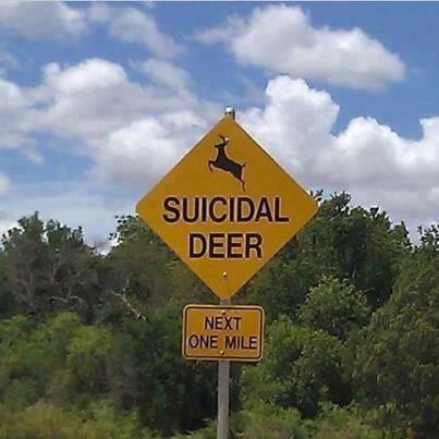 EvaShockey's tweet photo. Hah great sign! http://t.co/IWRGhN1E6U
