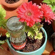 michellearbore's tweet image. 8 Clever Tricks to Keep Houseplants Happy

#MichelleArbore