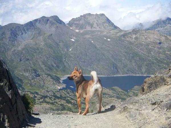 vanessama68's tweet photo. Mi mowy en la montaña http://t.co/yNqXMxWDfq