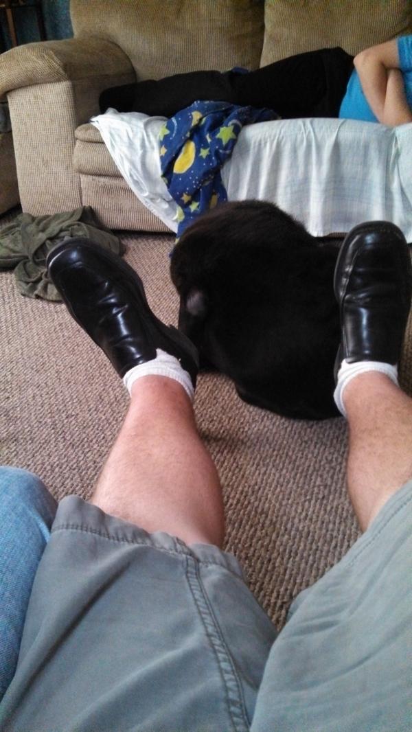 TheRealNickWolf's tweet image. Katie is embarrassed to go out in public with me #shallowbitch #shebasic