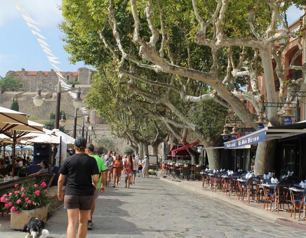 Collioure is beautiful 
#france #collioure #beauty #photography