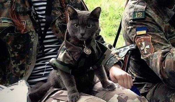 BvQaM7lIAAEU201.jpg:large