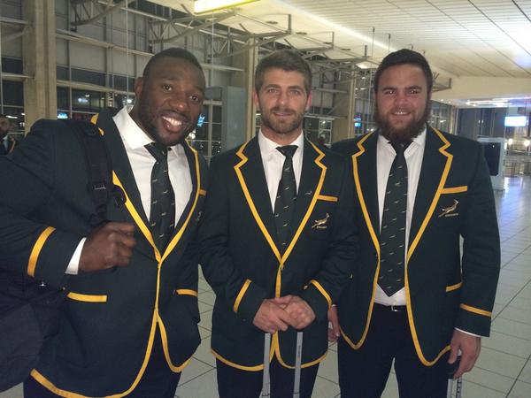 Springboks tweet media