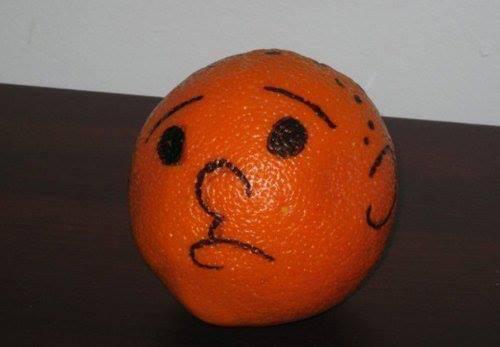 MattPidala's tweet photo. @rickygervais Karl Pilkington selfie http://t.co/0haYFNtFB4