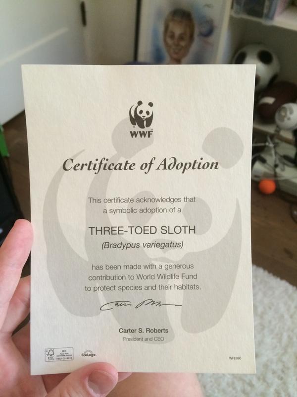 Blaze On Twitter Adopted A Sloth Http T Co Mhcpdsgunj