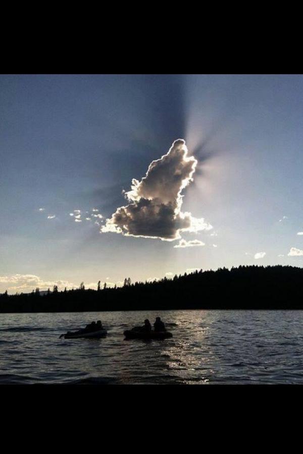 UNC_sucks_REX's tweet photo. Even the sky is ready for NC State football. #GoPack http://t.co/DNUIJ1Oyts